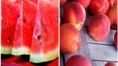 الزراعة لـ المصريين: 