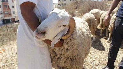 موعد وقفة عرفات و عيد الاضحى ٢٠٢١.. ومتى يولد هلال شهر ذو الحجة وفقا للحسابات الفلكية