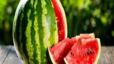 وزير الزراعة يكشف حقيقة وجود بطيخ مسرطن في الأسواق (فيديو)