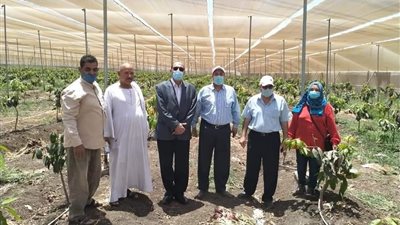 جولة تفقدية لمستشار وزارة الري على مشروعات الري الحديث بمزرعتين بمحافظة الدقهلية 