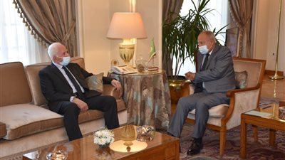 أبو الغيط لـ