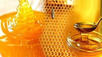 بحوث النحل: صادرات العسل تزيد 15% سنويا.. لهذا السبب (فيديو)