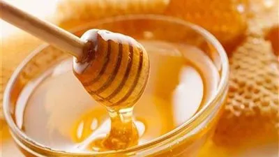 500 مليون دولار حجم استثمارات مصر من عسل النحل 