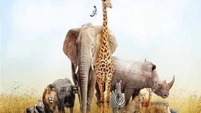 في اليوم العالمي للتنوع البيولوجي.. 