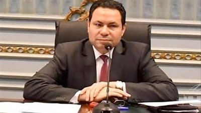 برلماني: أحداث غزة تدل على قوة وحجم الدولة المصرية 