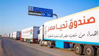 وزير الخارجية: القوافل المصرية تتوجه بكثافة هذه الأيام إلى غزة