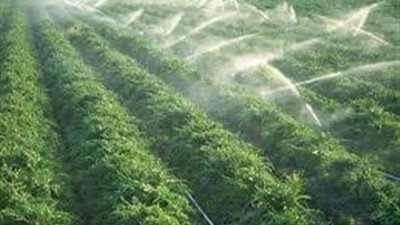 الري:  تنفيذ منظومة الري الحديث في 319 ألف 727 فدان حتى الآن بـ7 محافظات 