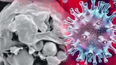 بعد ظهور أول حالة في مصر.. توجيه عاجل من الصحة بشأن استقبال مرضى الفطر الأسود