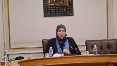 دينا ياقوت تكشف أسباب تشكيل لجنة سيدات الأعمال بالغرف التجارية