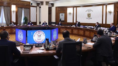 تصنيع لقاح للحماية من كورونا وتطوير مناطق القاهرة التاريخية.. أبرز نشاطات الحكومة في أسبوع