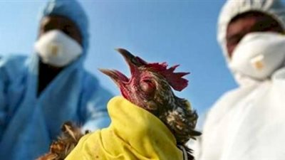 تفاصيل أول إصابة بشرية بسلالة إنفلونزا الطيور المتحورة في الصين