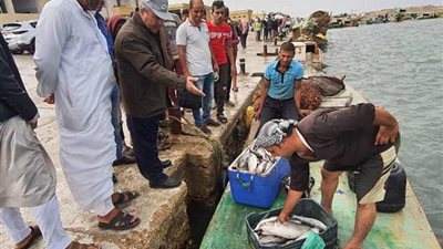 منطقة شمال سيناء للثروة السمكية: مبادرة 