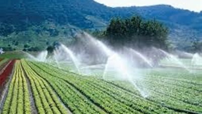 الري: تم تنفيذ منظومة الري الحديث في 325 ألف و 28 فدان حتى الآن بـ7 محافظات 