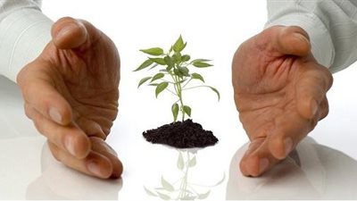 دعم المشروعات الصغيرة بـ 31.3 مليار جنية خلال 7 سنوات