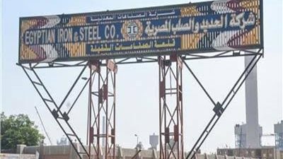 عضو بالبورصة يكشف مفاجأة  عن شركة الحديد والصلب (فيديو)