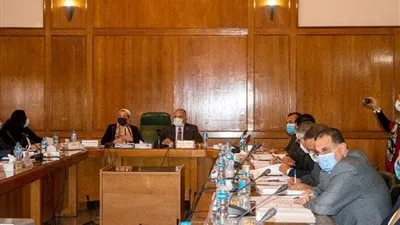 ياسمين فؤاد تؤكد على ضرورة مراعاة الأبعاد البيئية في المشروعات القومية (صور)