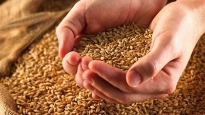  وزير التموين: 