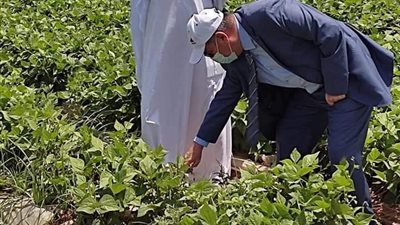 بالصور.. مستشار الموارد المائية يتفقد تنفيذ الري الحديث بمزرعة في القليوبية