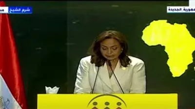 أماني أبو زيد: الاتحاد الإفريقي حدد عام 2021 للاحتفال بالفن والثقافة