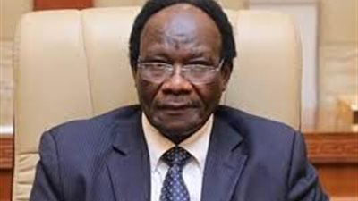 وزير الاستثمار السوداني: سنكون دائما سندًا للإخوة في مصر