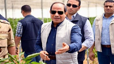 7 سنوات من الإنجازات.. كيف تطور القطاع الزراعي في عهد السيسي؟