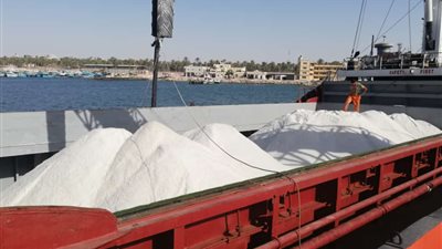 تصدير 3100 طن ملح إلى لبنان عبر ميناء العريش (صور)