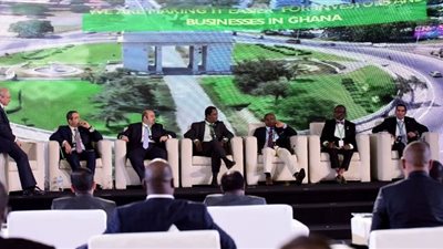 مسئول زمبي يدعو الأفارقة الاقتداء بخطط 