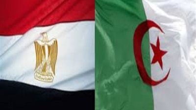 حجم التبادل التجاري بين مصر والجزائر يرتفع بنسبة 14%