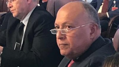 سامح شكرى يؤكد ضرورة وجود تضامن عربى واضح للتوصل لاتفاق حول سد النهضة 