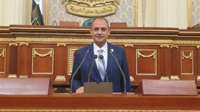 برلماني: قرار مساندة صادرات قطاع السيارات لـ7 سنوات ينعش الاقتصاد المصري