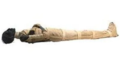 قطع الشهر في 