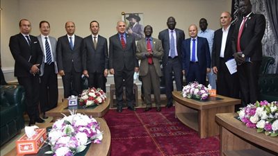 عبد العاطى: مصر تقوم بتنفيذ المشروعات التى يطلبها أهالى جنوب السودان