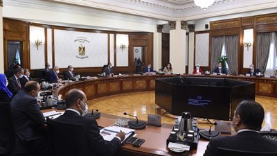 تعويضات متضرري النوبة وتقنين أوضاع التوك توك.. أبرز نشاطات الحكومة في أسبوع