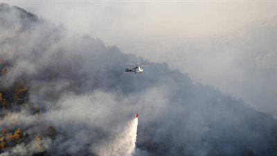 مصرع شخص خلال عمليات إخماد حريق غابات كبير في تركيا