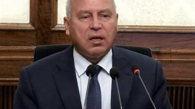 كامل الوزير: إنشاء 22 محورًا على نهر النيل (فيديو)