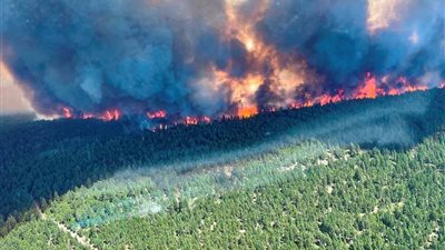 ارتفاع عدد الوفيات في الولايات المتحدة وكندا بسبب أسوأ موجة حارة تشهدها البلاد