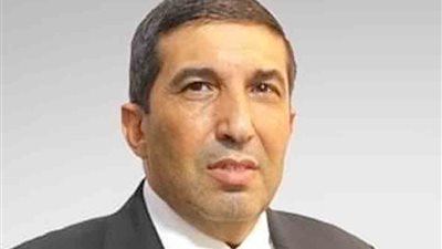 النائب أسامة عبد العاطي: ثورة 30 يونيو إنطلاقة مصر الحديثة