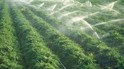 الري: تم تنفيذ منظومة الري الحديث في 366 ألف و 126 فدان حتى الآن بـ7 محافظات 