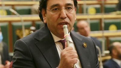 برلماني: قانون المشروعات الصغيرة نقلة كبيرة ويحتاج لخطة ترويجية 