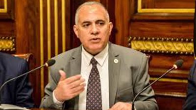 أبرز تصريحات وزير الري مع مديرة برنامج الأمم المتحدة للبيئة بشأن السد الإثيوبي