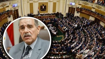 محافظ كفر الشيخ للنواب: هناك تضارب وتعارض في الاختصاصات بين الوزارات يعطل تنفيذ بعض المشروعات