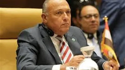 وزير الخارجية: مشروع القرار التونسي حول أزمة السد الإثيوبي متوازن وبناء