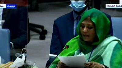 وزيرة خارجية السودان: بدون اتفاق بين الدول الثلاث تتحول فوائد سد النهضة إلى مخاطر