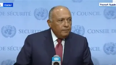 ماذا لو فشل مجلس الأمن في حل أزمة السد؟.. شكري يجيب