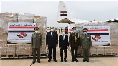 آخرهم تونس.. كيف دعمت مصر أشقاءها في التصدي لجائحة كورونا؟