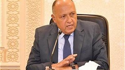 وزير الخارجية: أبدينا مرونة كافية في التفاوض مع إثيوبيا