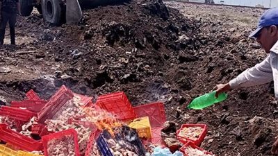 إعدام 29 طن أغذية فاسدة خلال الشهر الماضي في كفر الشيخ 