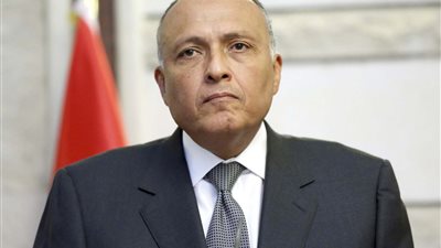 هل هناك لقاءات مرتقبة بين مصر وتركيا؟.. وزير الخارجية يوضح
