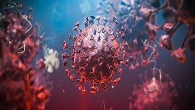 أستاذ باثولوجى: نتوقع تحور جديد في فيروس كورونا (فيديو)