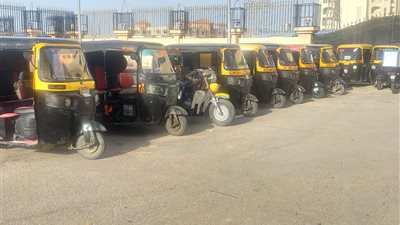 محافظة الإسكندرية تتحفظ على 672 مركبة مخالفة على محور المحمودية 